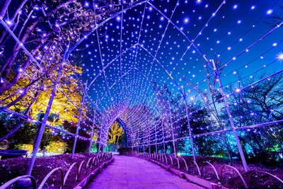 ノーベル賞を受賞した「青色」LEDがすごい理由とは!?