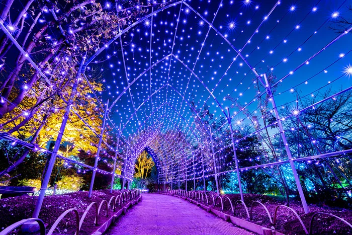 省エネと温暖化防止に貢献！ノーベル賞を受賞した「青色」LEDがすごい理由