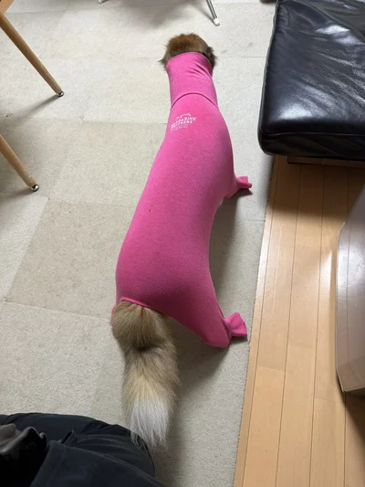 上から見ればネッシー▶次は横から見た写真です（⇒次へ）