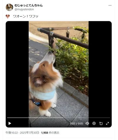 ワオーン！ワフッ▶鳴いている姿もとってもかわいいです（⇒次へ）