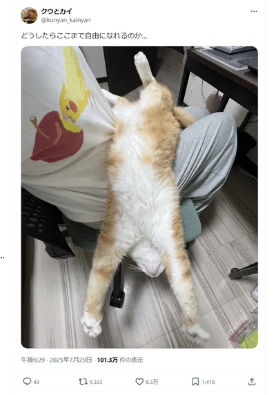 「どうしたらここまで自由になれるのか…」と投稿されたこのポスト！▶飼い主さんの足の上でクウちゃんが…（⇒次へ）