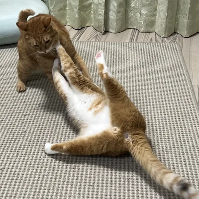 大開脚で戦っちゃいます！何があったんでしょうか（笑）▶伝えたいことがあるときは、（⇒次へ）