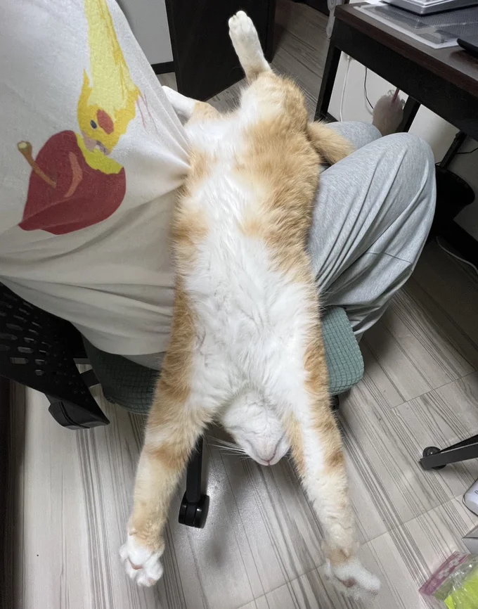 驚くほど信頼して伸びきっています。落ちないのもすごい！（笑）▶そしてそのまま……？（⇒次へ）