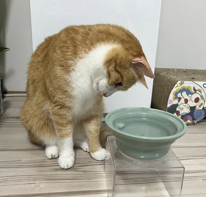 どう対処しようかと悩んでしまうクウちゃん▶でも気にはなるようで、結局は（⇒次へ）