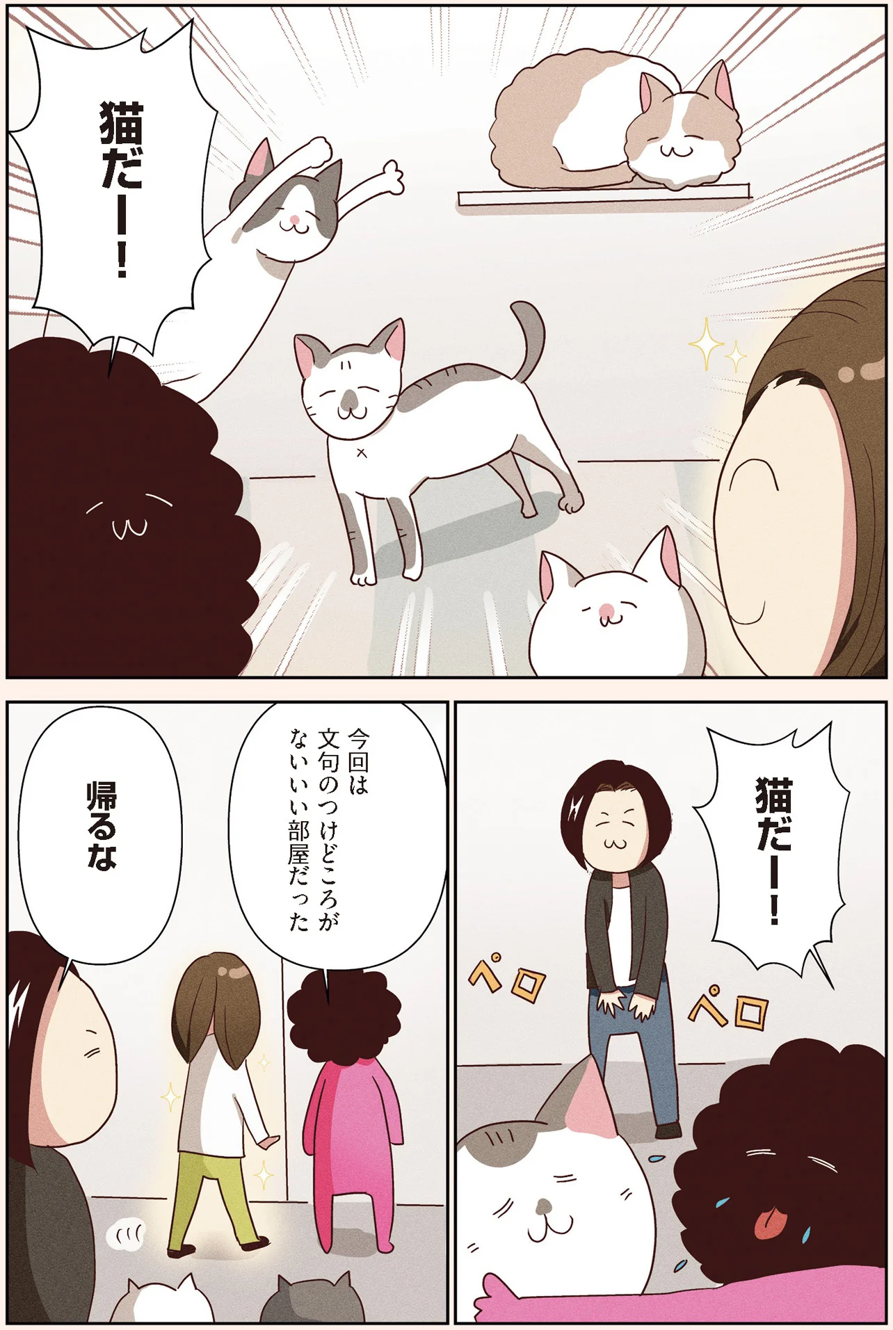 断捨離とは散らかさないことではない」猫6匹と暮らすオタクの悩み
