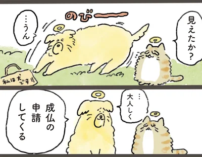 SNSで大人気の『天国での暮らしはどうですか』著者・中山有香里さんが看護師を続けながら漫画を描く理由