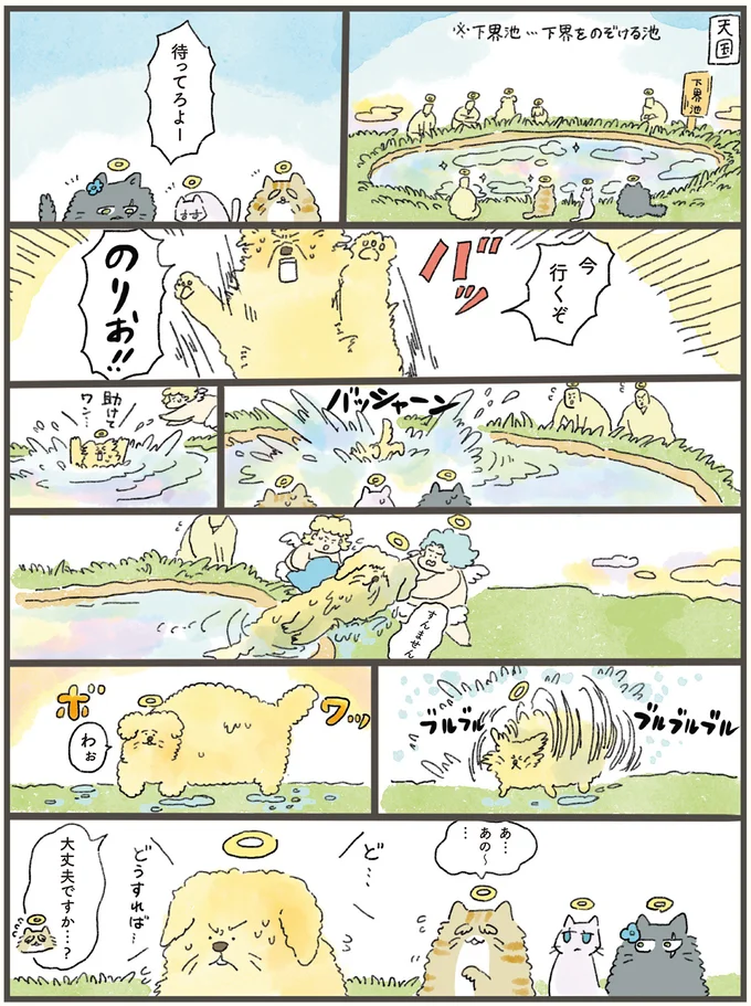 『天国での暮らしはどうですか』より