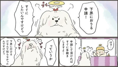 SNSで話題の『天国での暮らしはどうですか』より