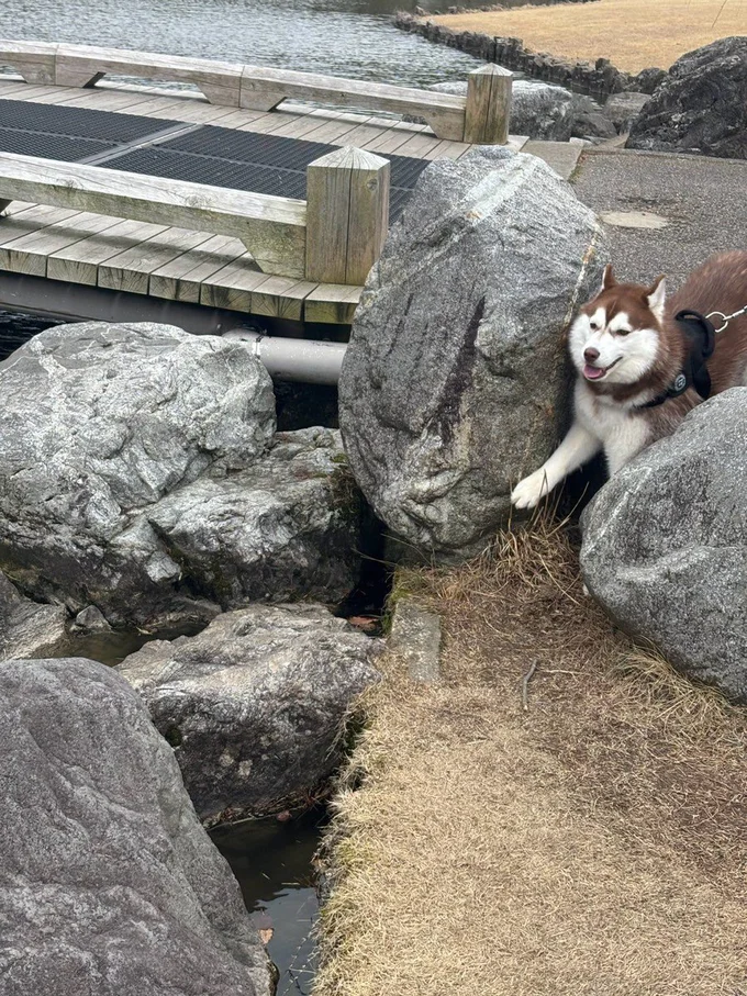私は岩です▶気分じゃないの（⇒次へ）