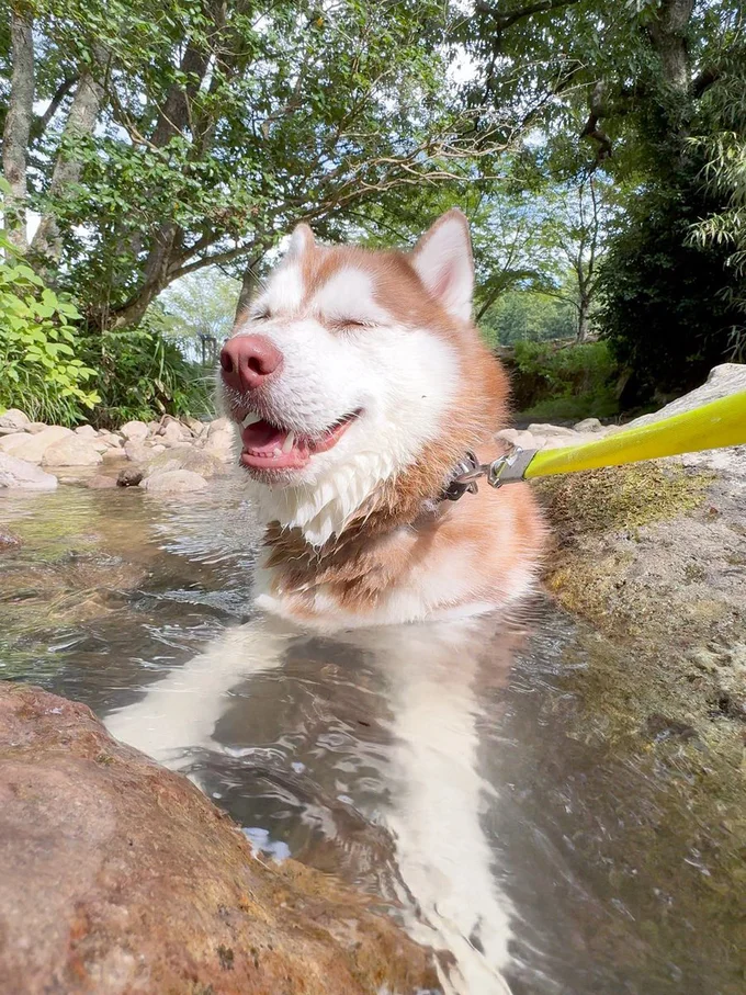 水浴び気持ちええ~▶あの…バレバレです…(⇒次へ)
