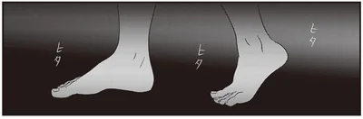 ヒタヒタヒタ
