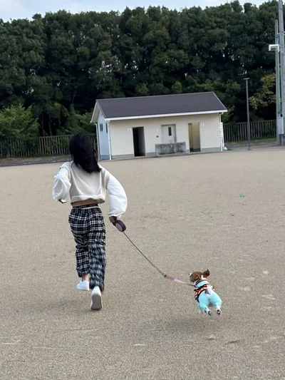 全力でお散歩を満喫！▶ちっちゃい猛獣！元気いっぱいな姿（⇒次へ）