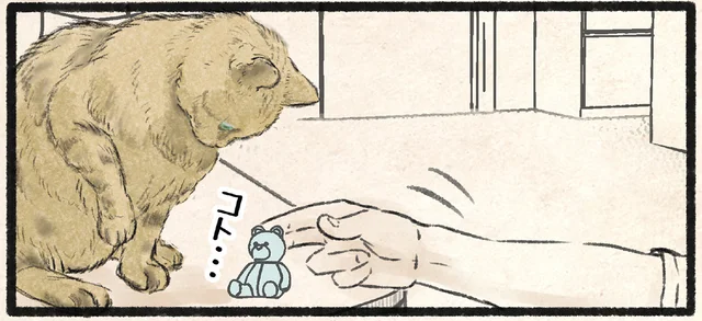 なぜ飼い主は元に戻すのか。仕事を邪魔されたネコの気持ち