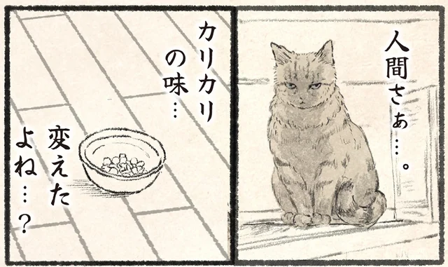 気づかれないと思った飼い主。ネコが勘付いたごはんのこと