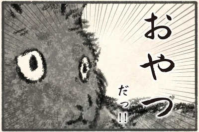 おやつだっ！！