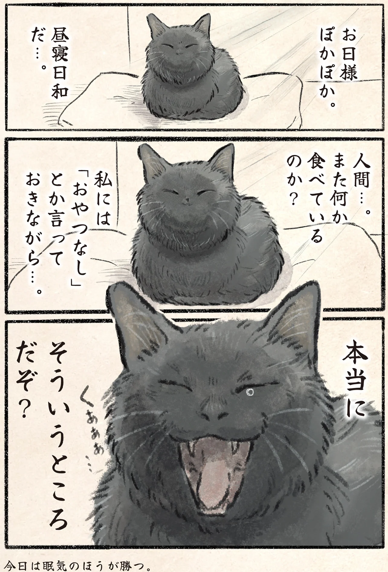 私には「おやつ無し」と言うくせに。飼い主とネコのダイエット／今日も