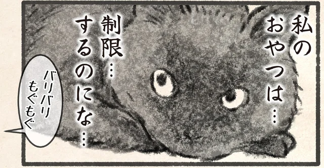 私には「おやつ無し」と言うくせに。飼い主とネコのダイエット