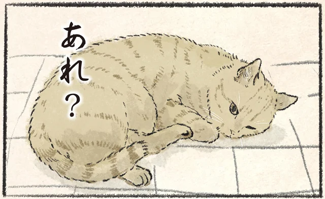 「食べてない」ネコと飼い主で食い違うおやつの行方