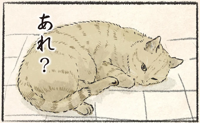 あれ?今日おやつ食べてなくね?