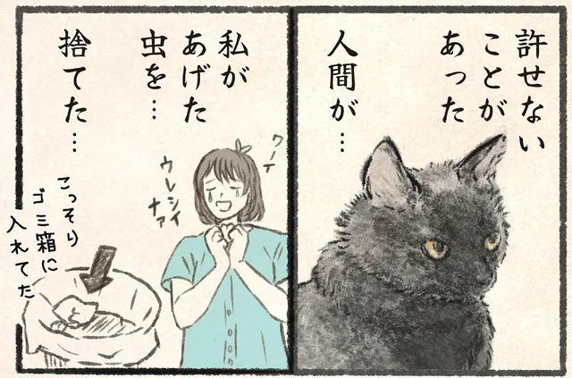 なぜ食べない？ネコが絶対に許せない飼い主の行為／今日もネコ様の圧が強い（11）