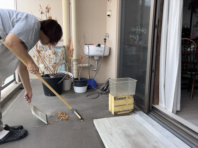 懐かしい気持ちになりながらもとっても役立つ学校のほうき