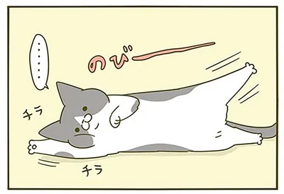 のびながらチラチラ…