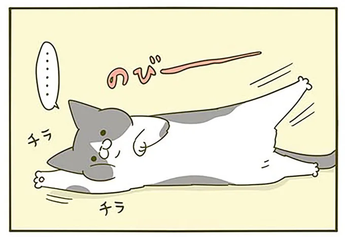 のびながらチラチラ…