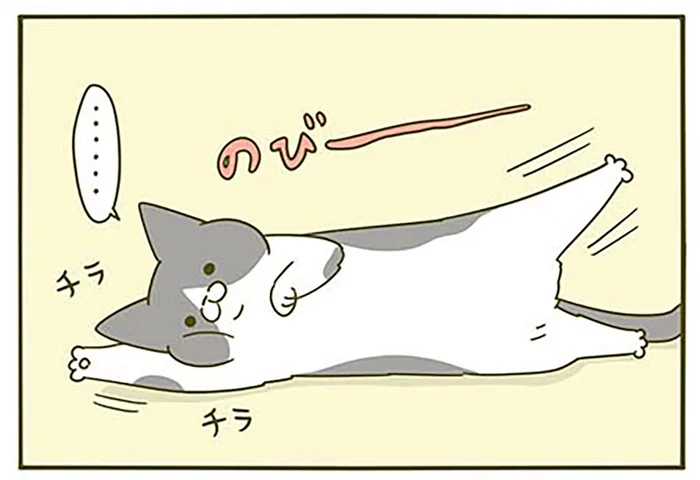 どうして無言なのにうるさいのか。視界の隅でうごめく猫／うちの猫がまた変なことしてる。3（1）