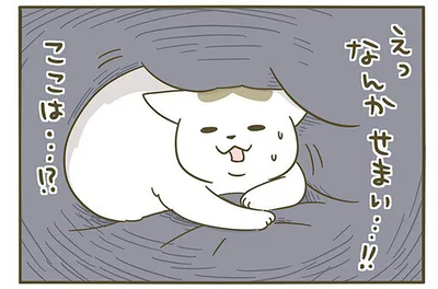 なんかせまい…！