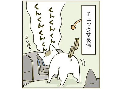 キャリーバックをチェック！