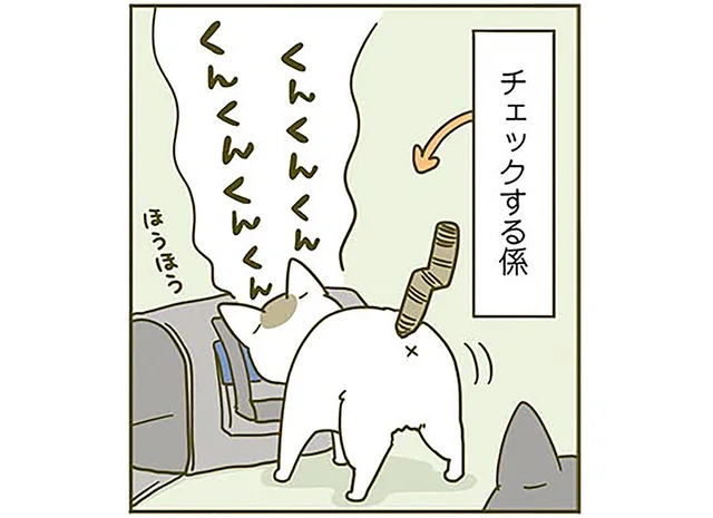 「すまぬ」新しいキャリーに喜ぶ猫の無邪気さに、ちょっと胸が痛む飼い主／うちの猫がまた変なことしてる。3（4）