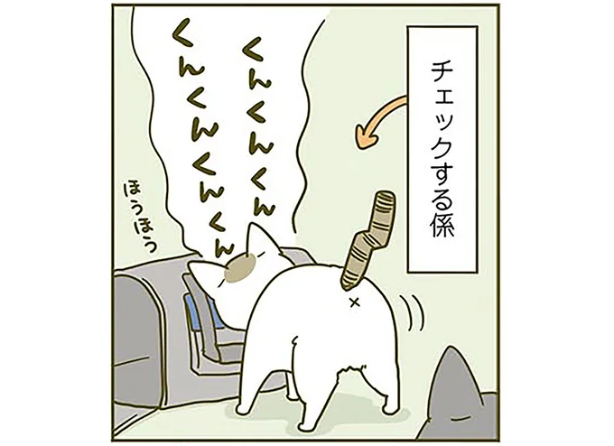 キャリーバックをチェック!