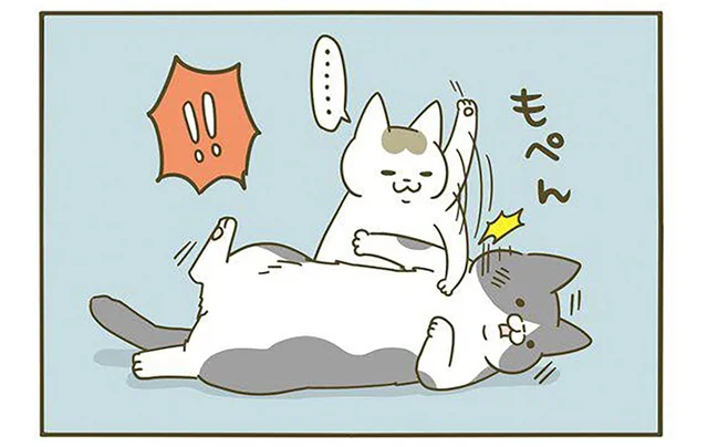 添い寝を拒否したら…!? あまりの理不尽に納得がいかない先輩猫の話