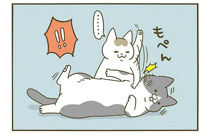 添い寝を拒否したら…!? あまりの理不尽に納得がいかない先輩猫の話