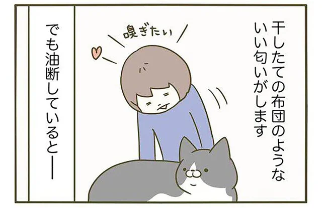 ああっ名残が!! いい香りを求めて猫を吸ったらとんでもない匂いがした話