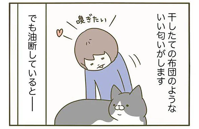 ああっ名残が!! いい香りを求めて猫を吸ったらとんでもない匂いがした話