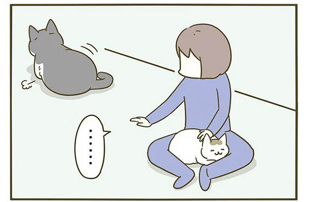 手を伸ばせば届く距離？ 少し遠くにいる猫も撫でたい飼い主の頑張り