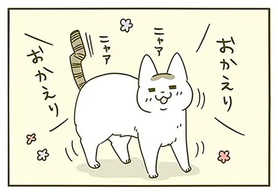 おかえりおかえり