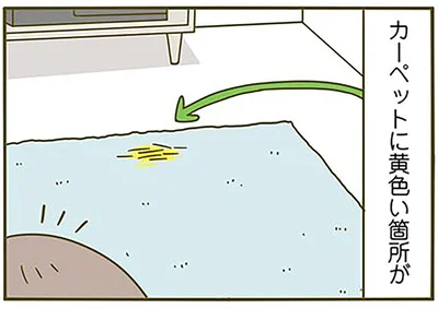 あれっ黄色い箇所が