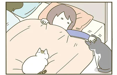 眠りたいのに