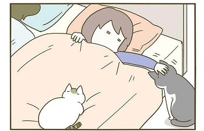 眠りたいのに眠れない！ 猫が可愛すぎることで睡眠時間に影響が出てしまいます／うちの猫がまた変なことしてる。3（13）