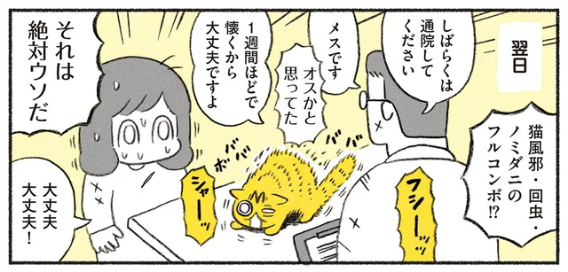 もう大丈夫だよ！ 威嚇しまくりの捨てられていた子猫を拾った日