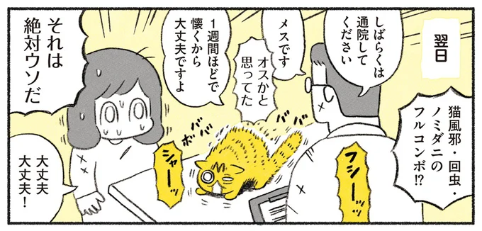 翌日病院で