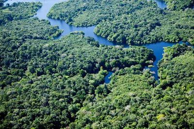 アマゾン川の地下にはもう一つ巨大な河がある⁉