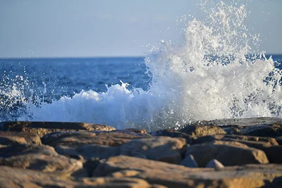 油断は禁物！数十センチの津波でも安心してはいけない理由とは？