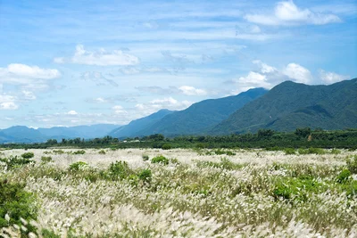 風はどこからやってくるの？風が吹くメカニズムを教えて！