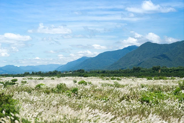 風はどこからやってくるの？風が吹くメカニズムを教えて！