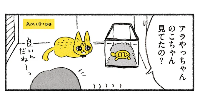 のこちゃん見てたの？