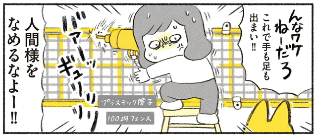 障子破りに味をしめた猫が暴走！ 飼い主との攻防の行く末は