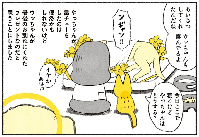 最後にくれたプレゼント